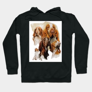 Bracco Italiano Hoodie